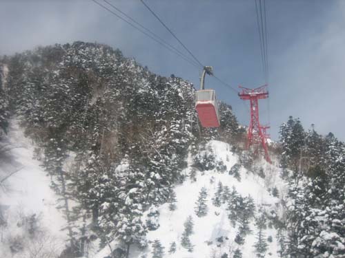 IMG_8343copy.jpg